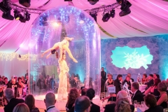 Giant Snow Globe