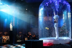 Giant Snow Globe