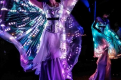 Glow Butterflies