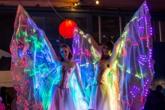 Glow Butterflies