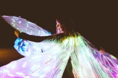 Glow Butterflies