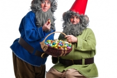 Gnomes