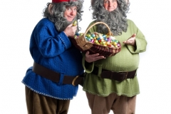 Gnomes