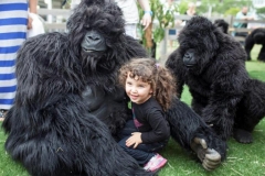 The Gorillas