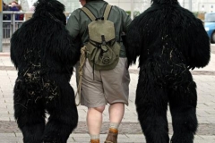 The Gorillas