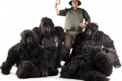 The Gorillas