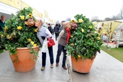 Greenfinger Folk