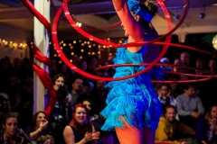 Hoop Swing
