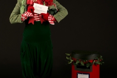La Luna Christmas