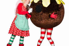 Lairy Fairy & The Christmas Puddings
