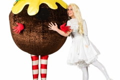 Lairy Fairy & The Christmas Puddings