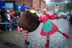 Lairy Fairy & The Christmas Pudding