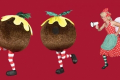 Lairy Fairy & The Christmas Puddings