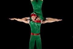 Lite Elves