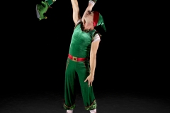 Lite Elves