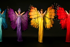 Mariposa - Butterfly stilt walkers
