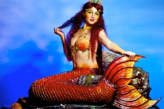 Mermaid Human Table