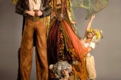 Midsummer Night's Dream Faeries