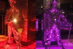 Mirror Man