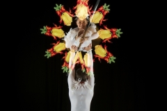 Northern Lite Acrobats