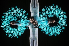Northern Lite Acrobats