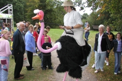 Ostriches