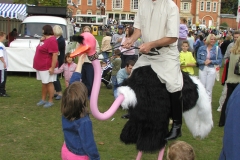 Ostriches