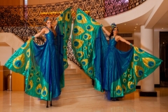 Peacocks