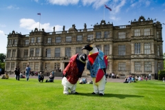 Penguins Abroad