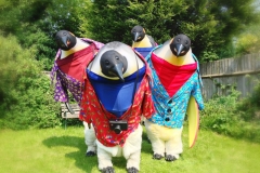 Penguins Abroad