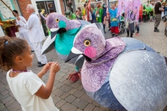 Pigeons