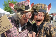 Posh Pigs
