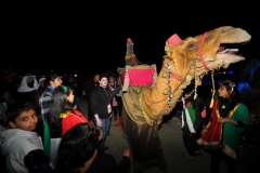 Prince Amir & Kitty the Camel