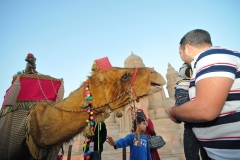 Prince Amir & Kitty the Camel
