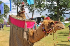 Prince Amir & Kitty the Camel