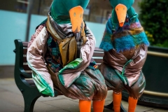 Puddle Ducks