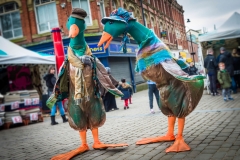Puddle Ducks