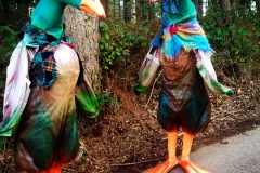 Puddle Ducks