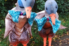 Puddle Ducks