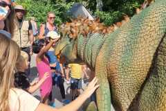 Roarsome Dinosaur Walkabouts