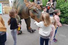 Roarsome Dinosaur Walkabouts