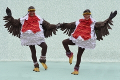 Rockin' Robins