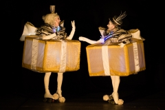 Skating Illuminated Presents