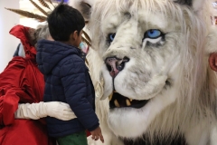 Snow Lion