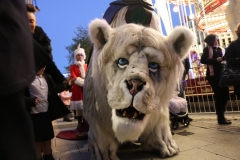 Snow Lion