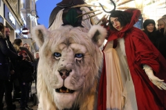 Snow Lion