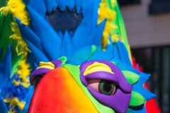 Squawk