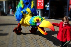 Squawk