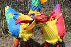 Squawk