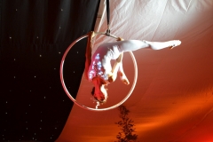 The Lite Circus